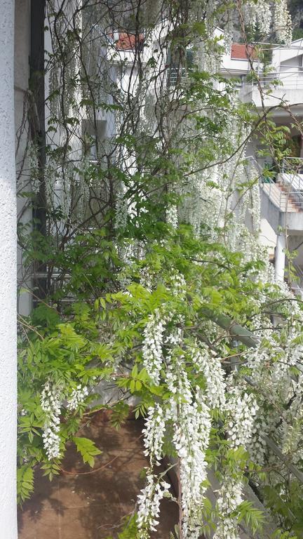 Roman Gardens Studio Apartment Risan Eksteriør billede